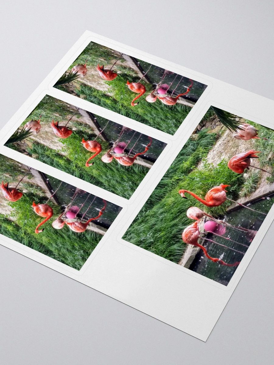"Buckie" Stickers product image (3)