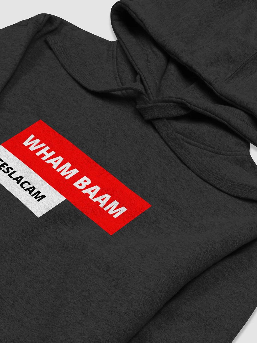 TESLACAM HOODIE product image (3)