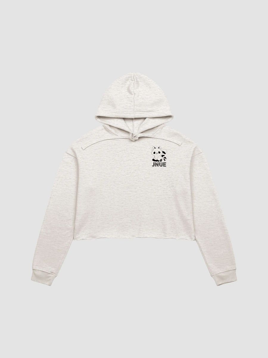 Bright Crop Top Hoodie product image (1)