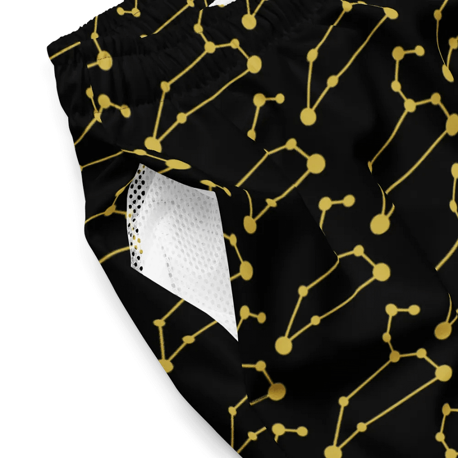 Celestial Leo Connection Swim Trunks product image (4)