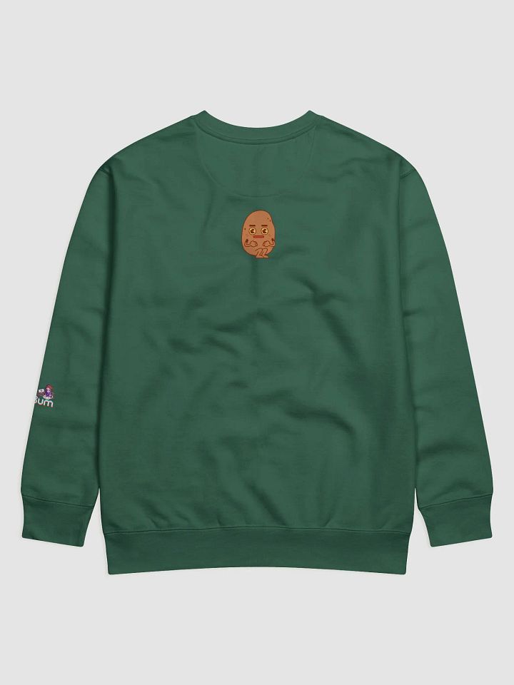 NEURODIVERGENT premium sweatshirt product image (10)