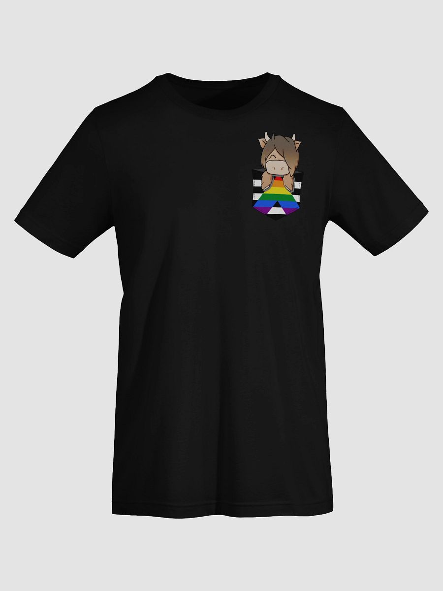 Ally Pocket Hamish Pride product image (91)