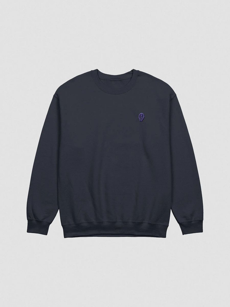 EXCLAIMING MENTALLY (L.C. night design) embroidered crewneck product image (22)