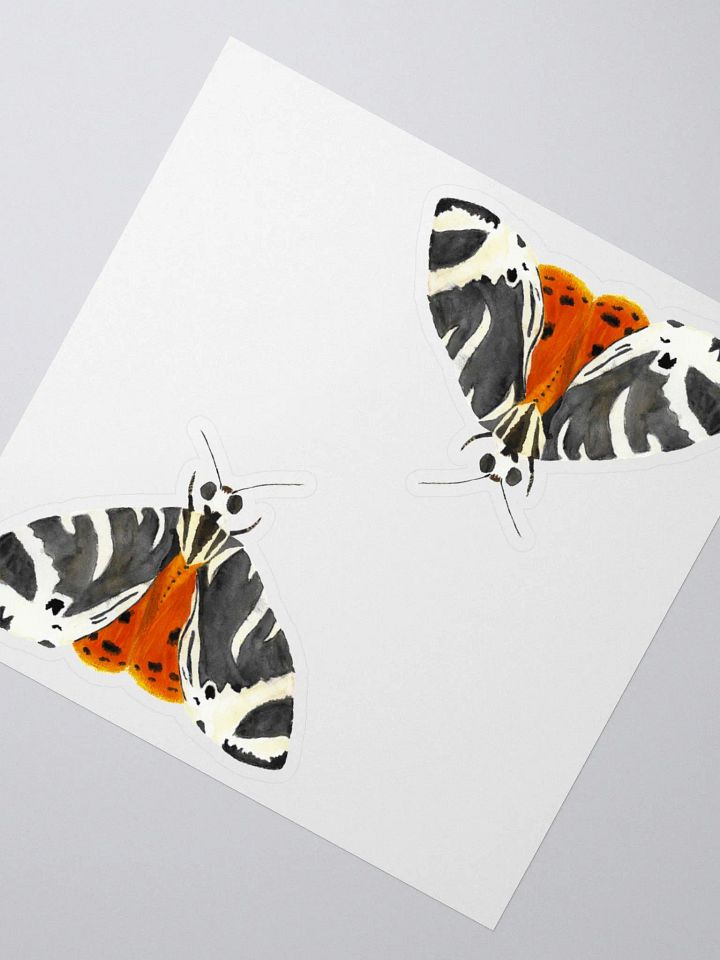 Jersey Tiger Moth Sticker (x2) product image (2)