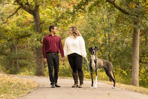 🌟🍁 Kermit, the Great Dane, is soaking up the beauty of fall! His towering presence and loving nature make every moment special.