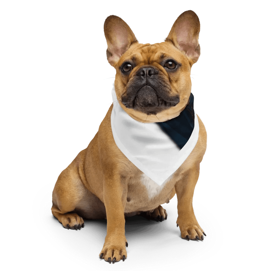 Mystic Wolf All-Over Bandana product image (6)