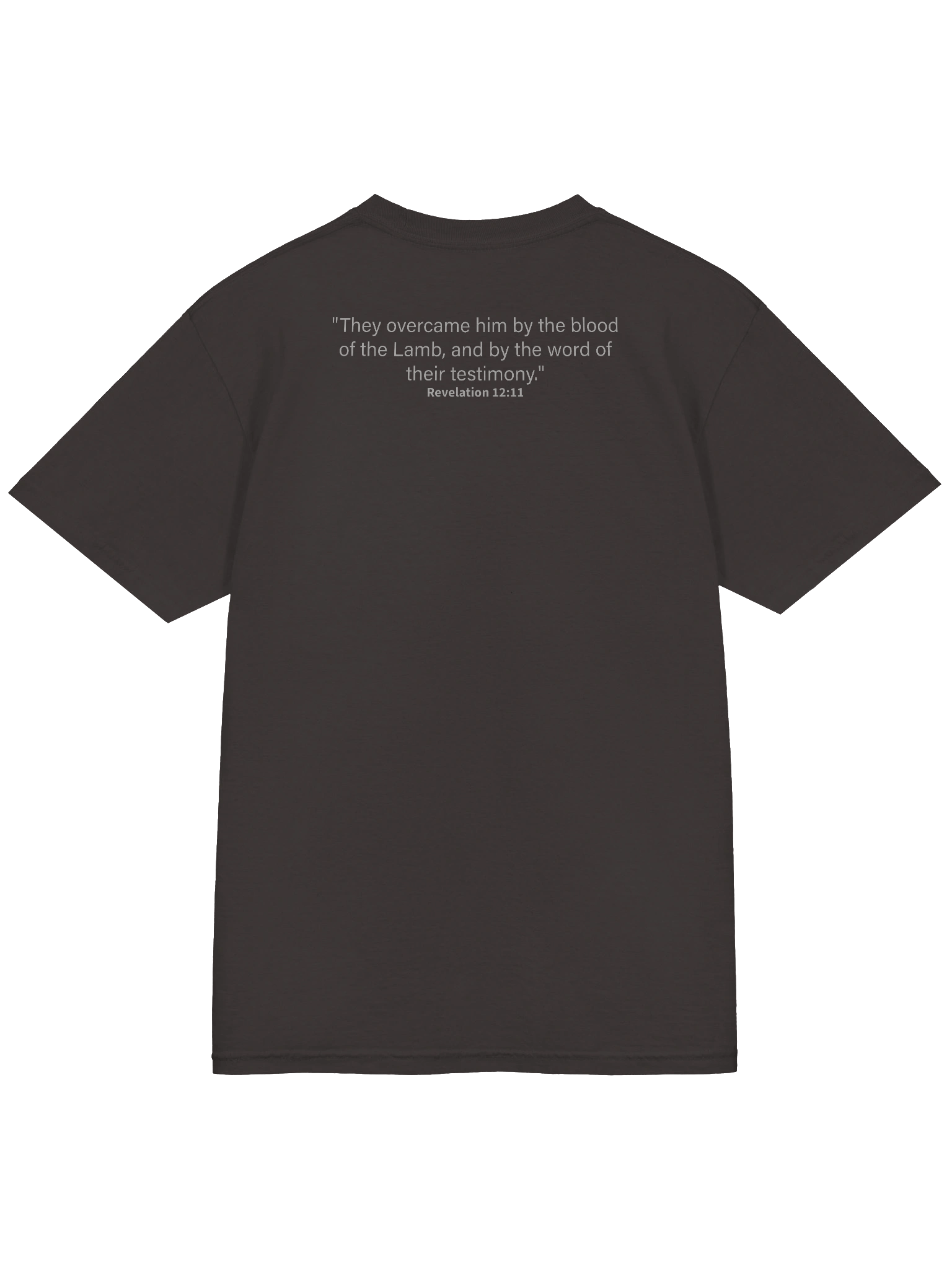 Christ for the Crisis 1 product image (4)