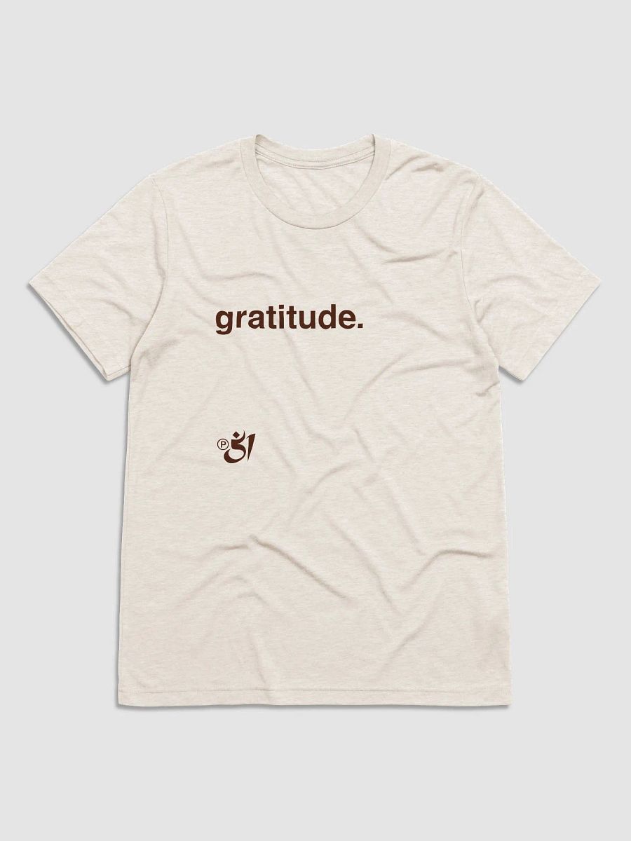 gratitude. tee product image (1)