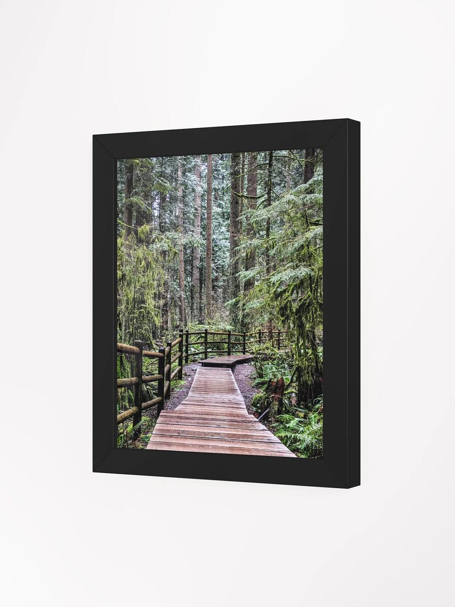 Lynn Canyon Park product image (20)
