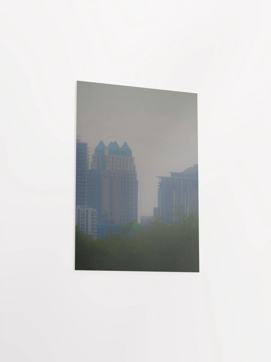 Downtown Orlando 6 product image (41)