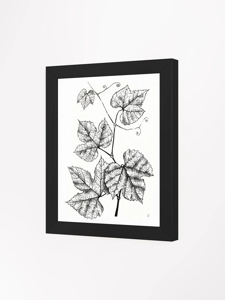 Intricate Vine Line Art Poster - Grape Leaves product image (9)