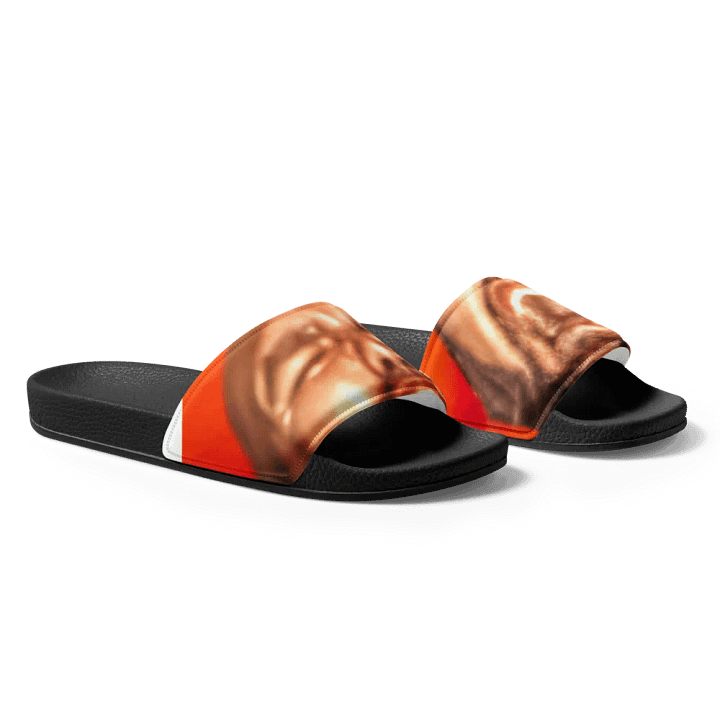 Expressive Men's Slide Sandals product image (1)