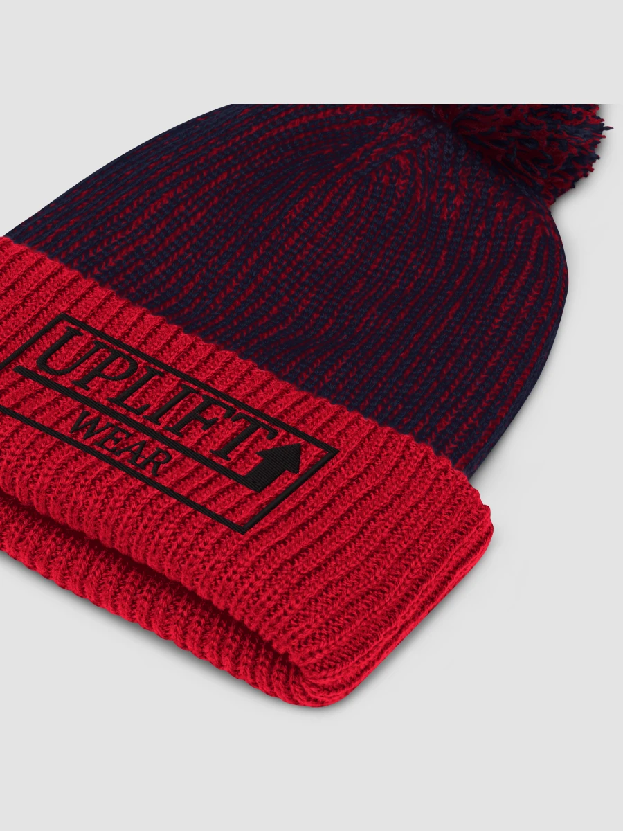 Two-Toned Embroidered Winter Beanie product image (4)