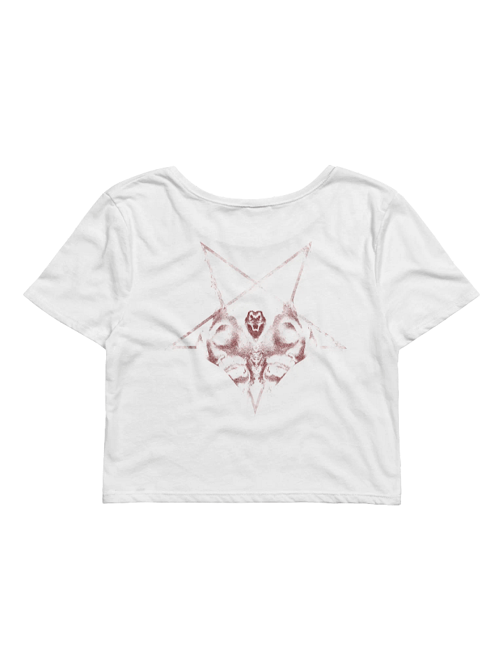 Devilgeto Logo Slaughterer Crop T-Shirt product image (2)