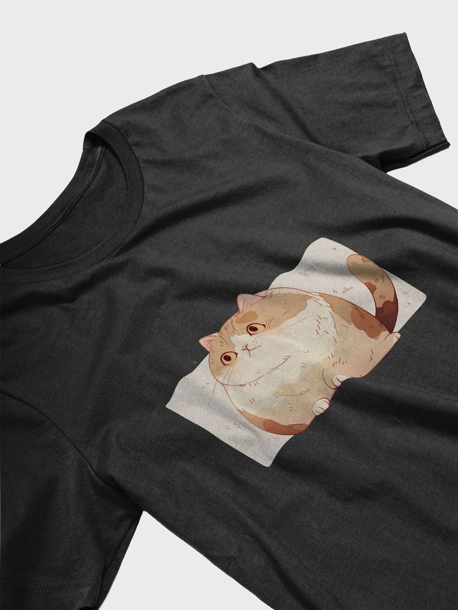 Cute Chubby Cat Looking Sideways product image (19)