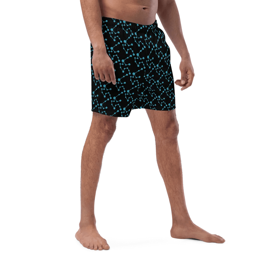Aquarius Fusion Swim Shorts product image (3)