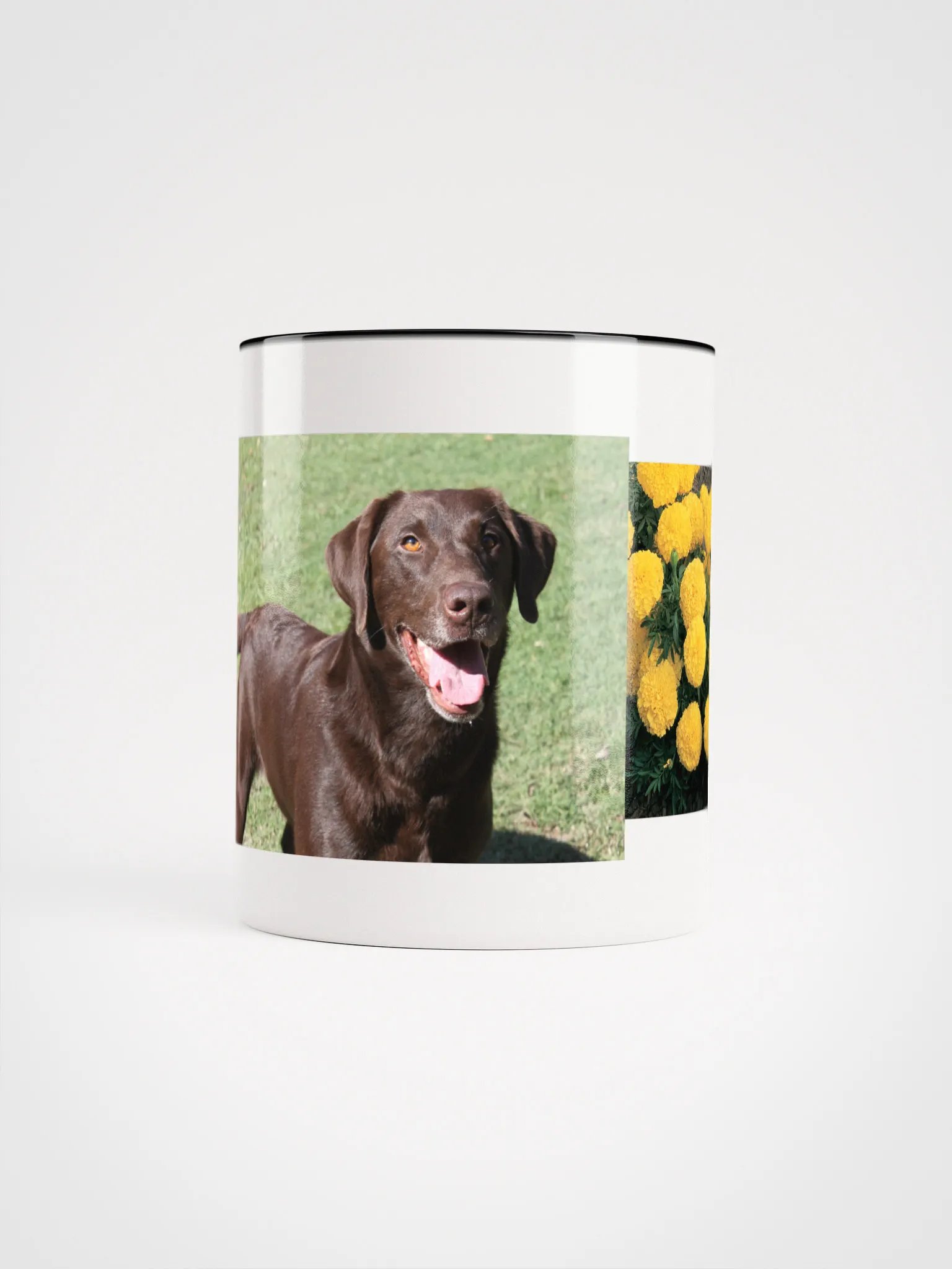 sunshine product image (29)