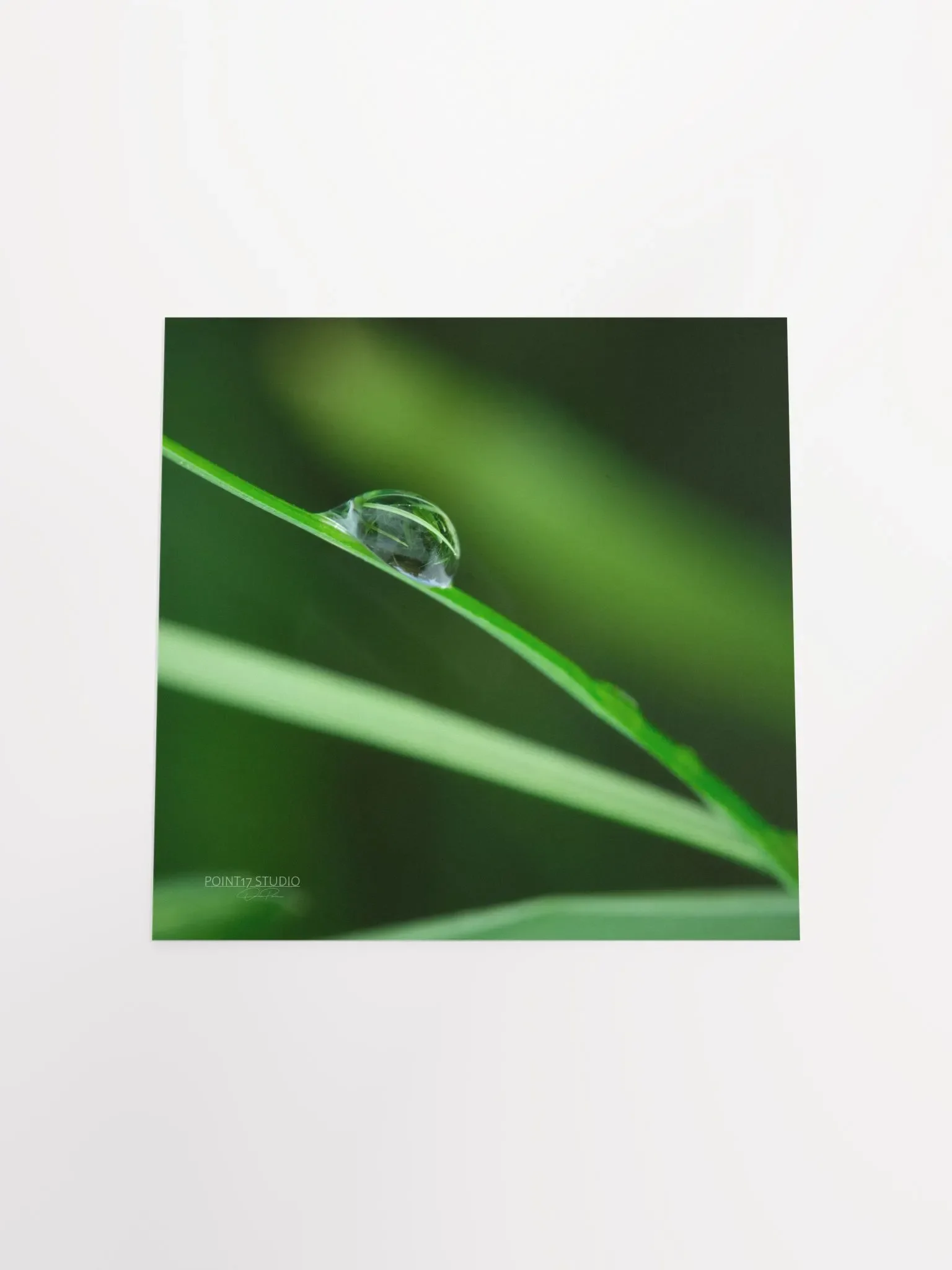 Dew Gems #6 - Print product image (10)