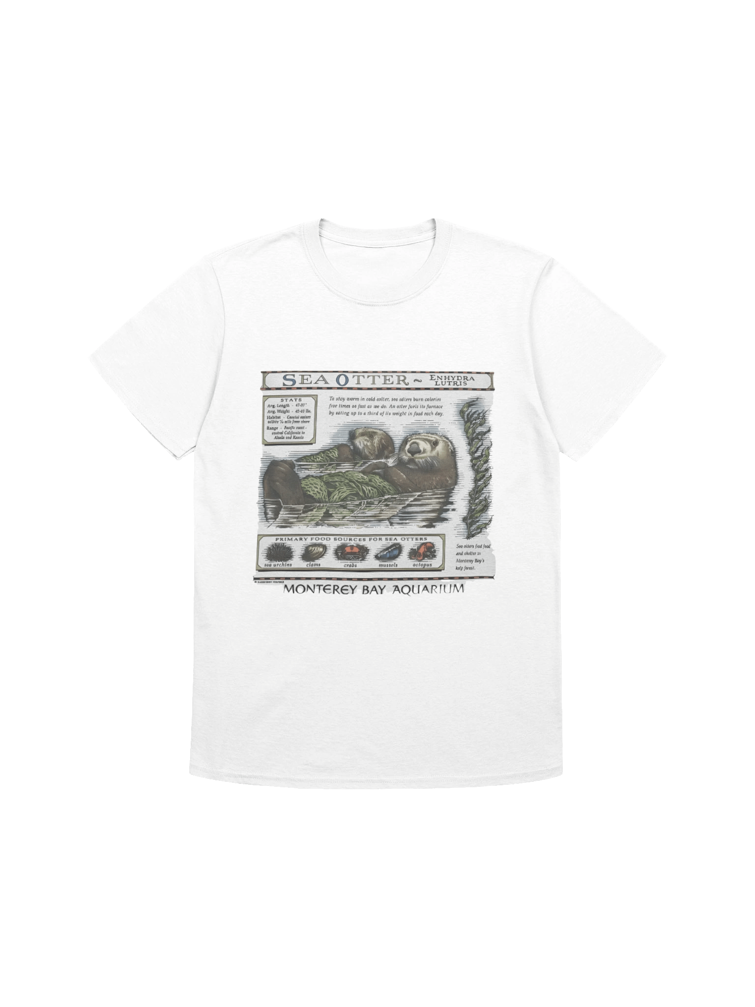 Sea Otter Monterey Bay Aquarium T-shirt product image (1)