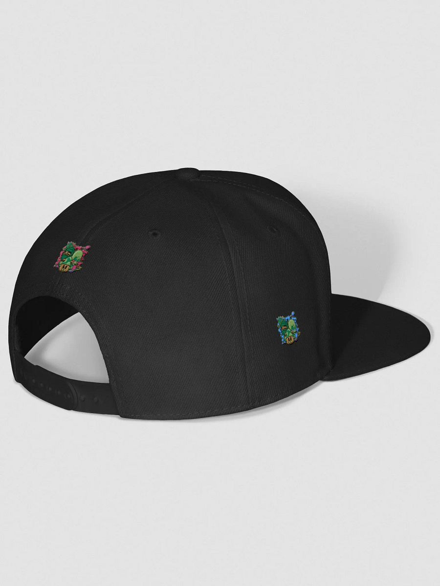 BizzWorld Drip snapback collection product image (39)