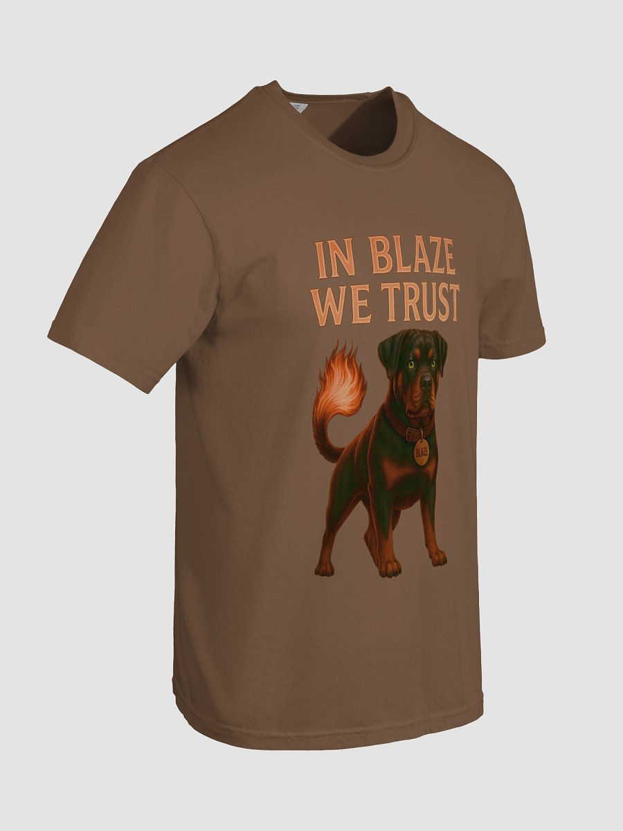 In Blaze We Trust- T-Shirt product image (25)
