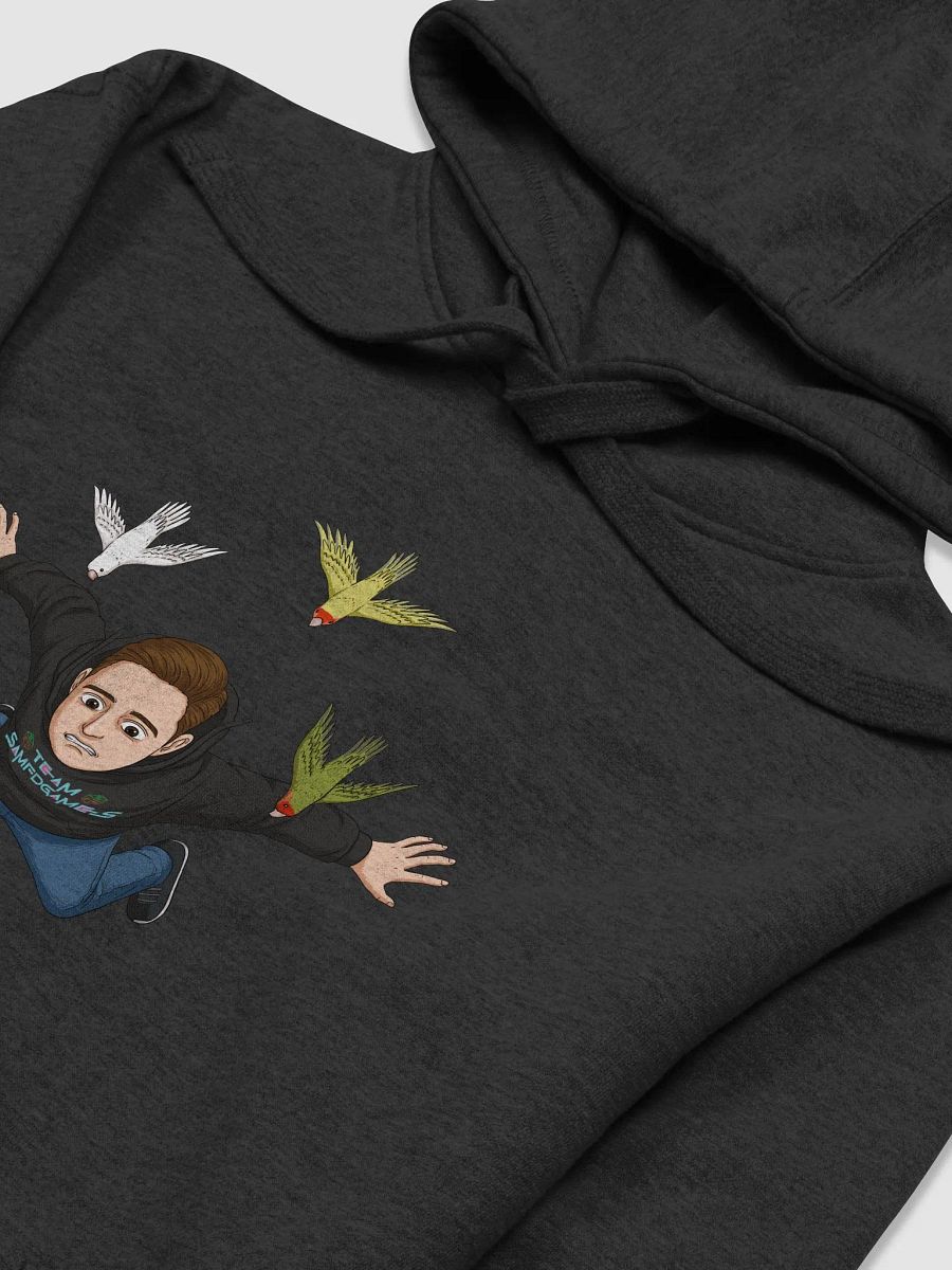 Faller Hoodie product image (3)
