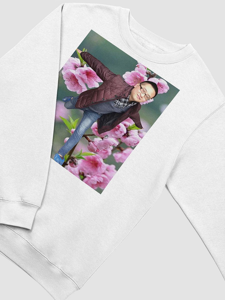 Lane Seven Premium Crewneck Sweatshirt: fly product image (14)