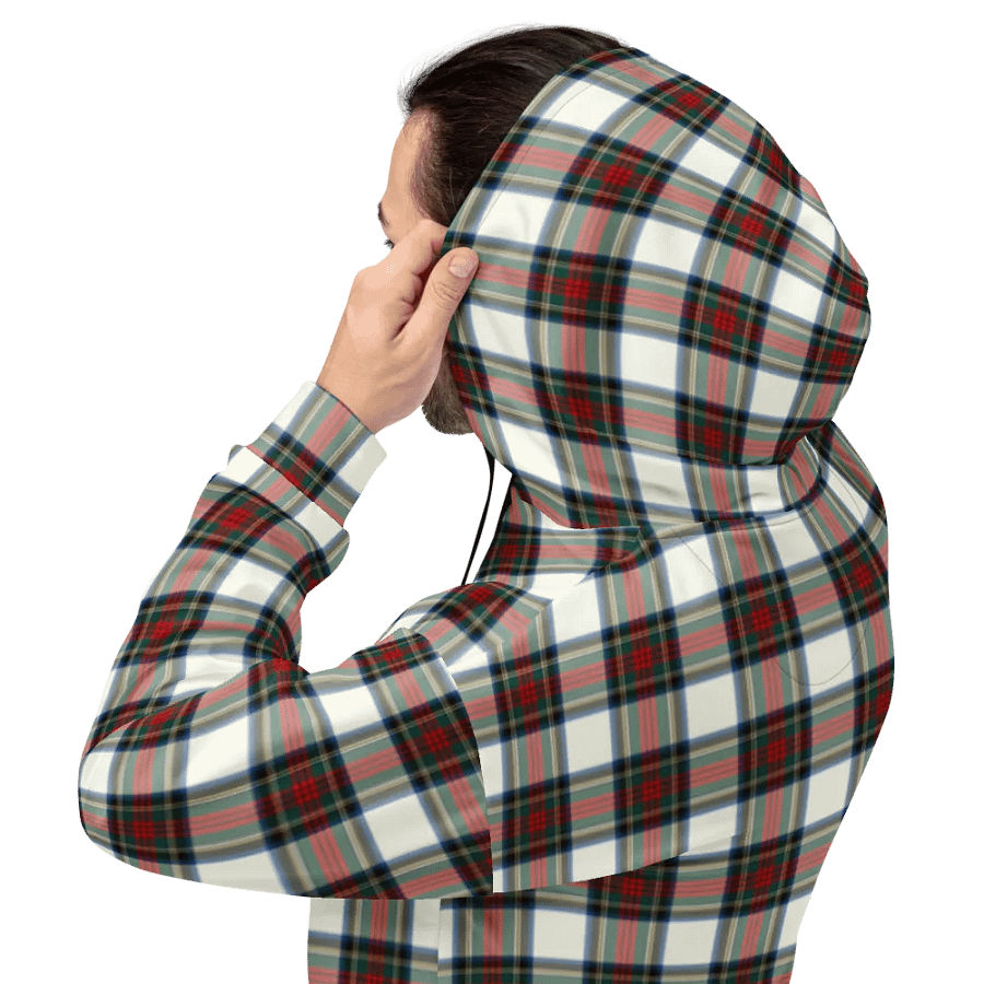 Stewart Dress Tartan Hoodie product image (8)