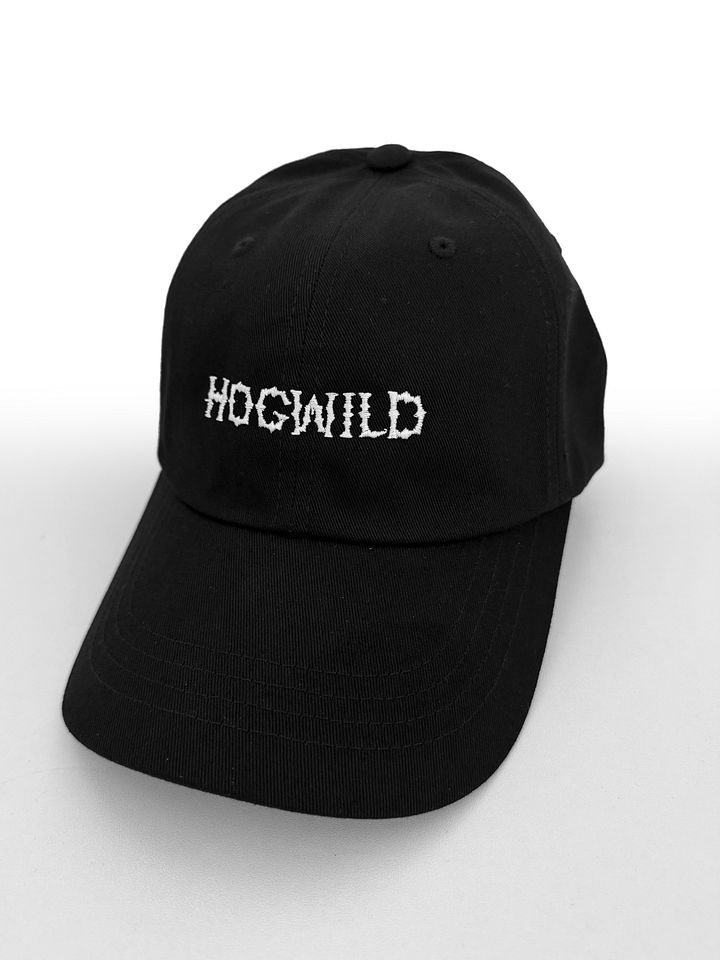 HOGWILD Dad Hat product image (2)