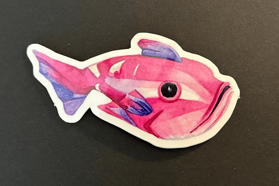 Sea of Thieves Fish Vinyl Sticker Pack product image (4)