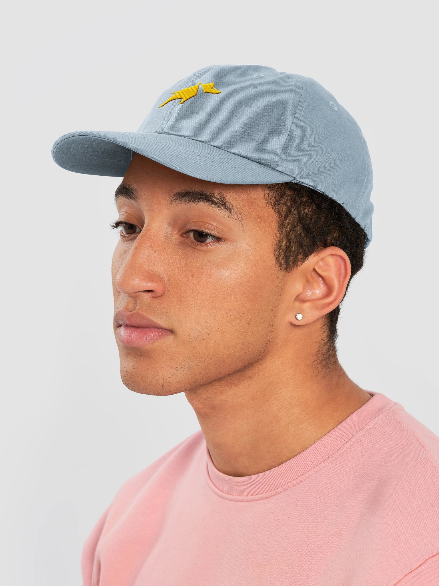 Dad Hat product image (13)