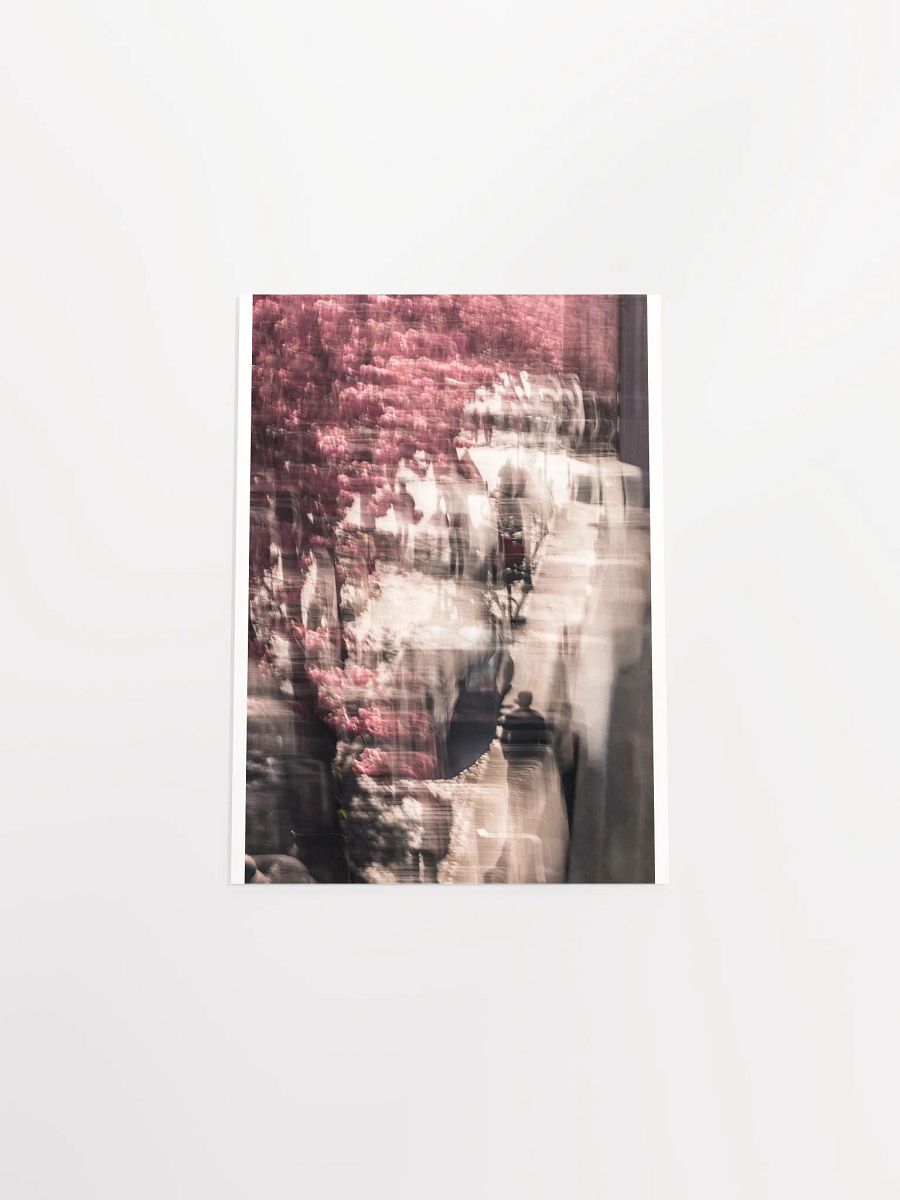 A Stroll under the Cherry trees - Print product image (5)