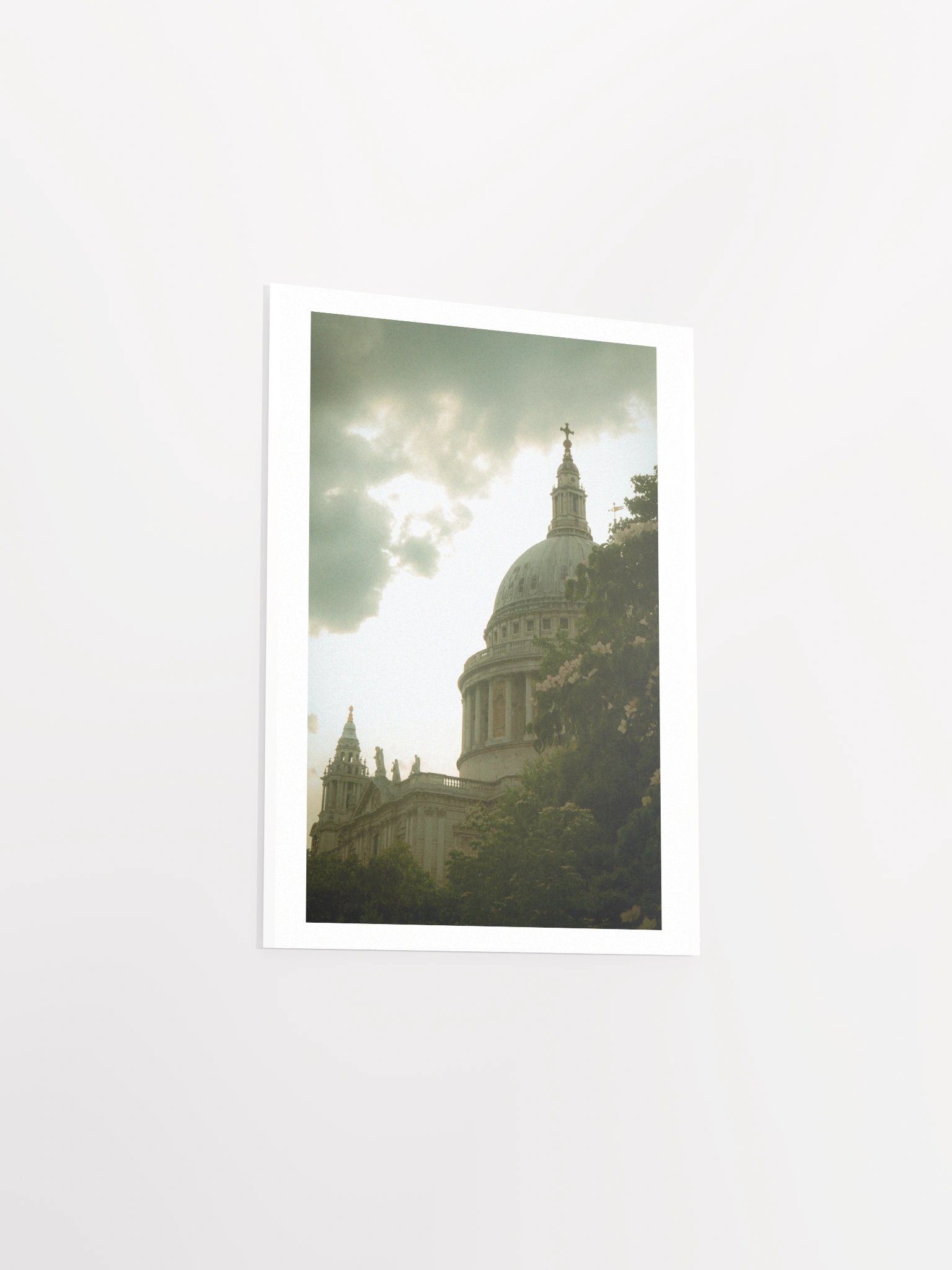 Flowers of St. Paul - Print product image (21)
