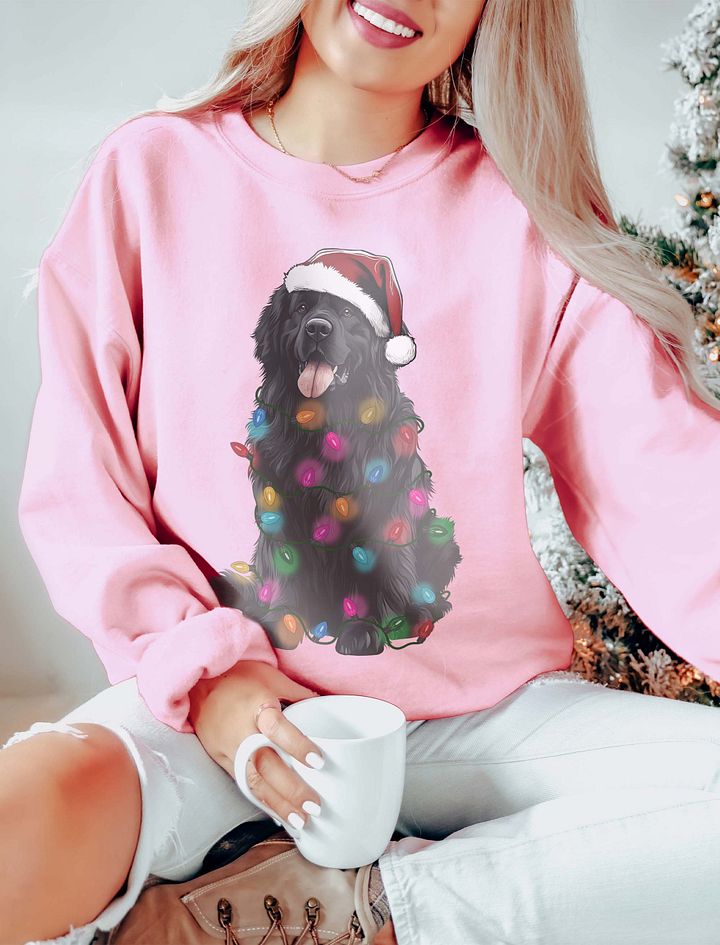 Funny Newfoundland Christmas Sweatshirt product image (15)