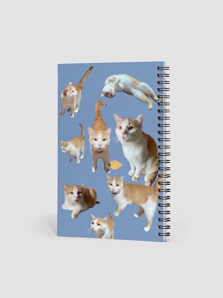 Thurston's Journal product image (2)