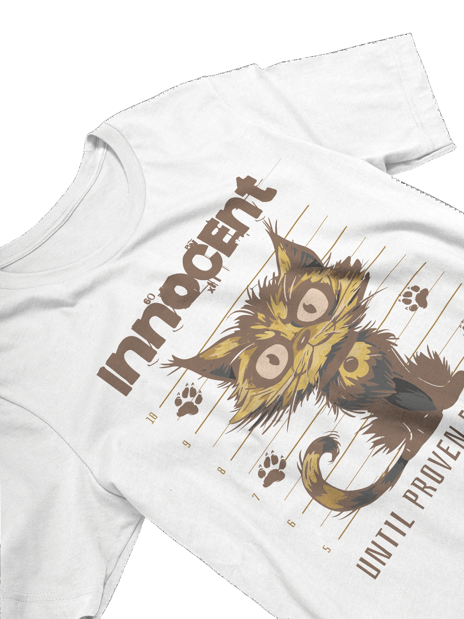 Cat Bandit | Unisex Bella+Canvas Supersoft T-Shirt product image (4)