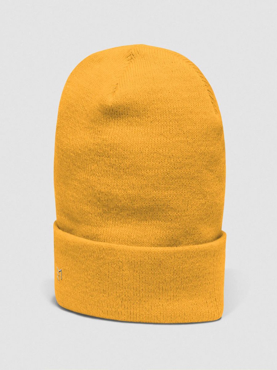 EM \\ Cuffed Beanie product image (22)