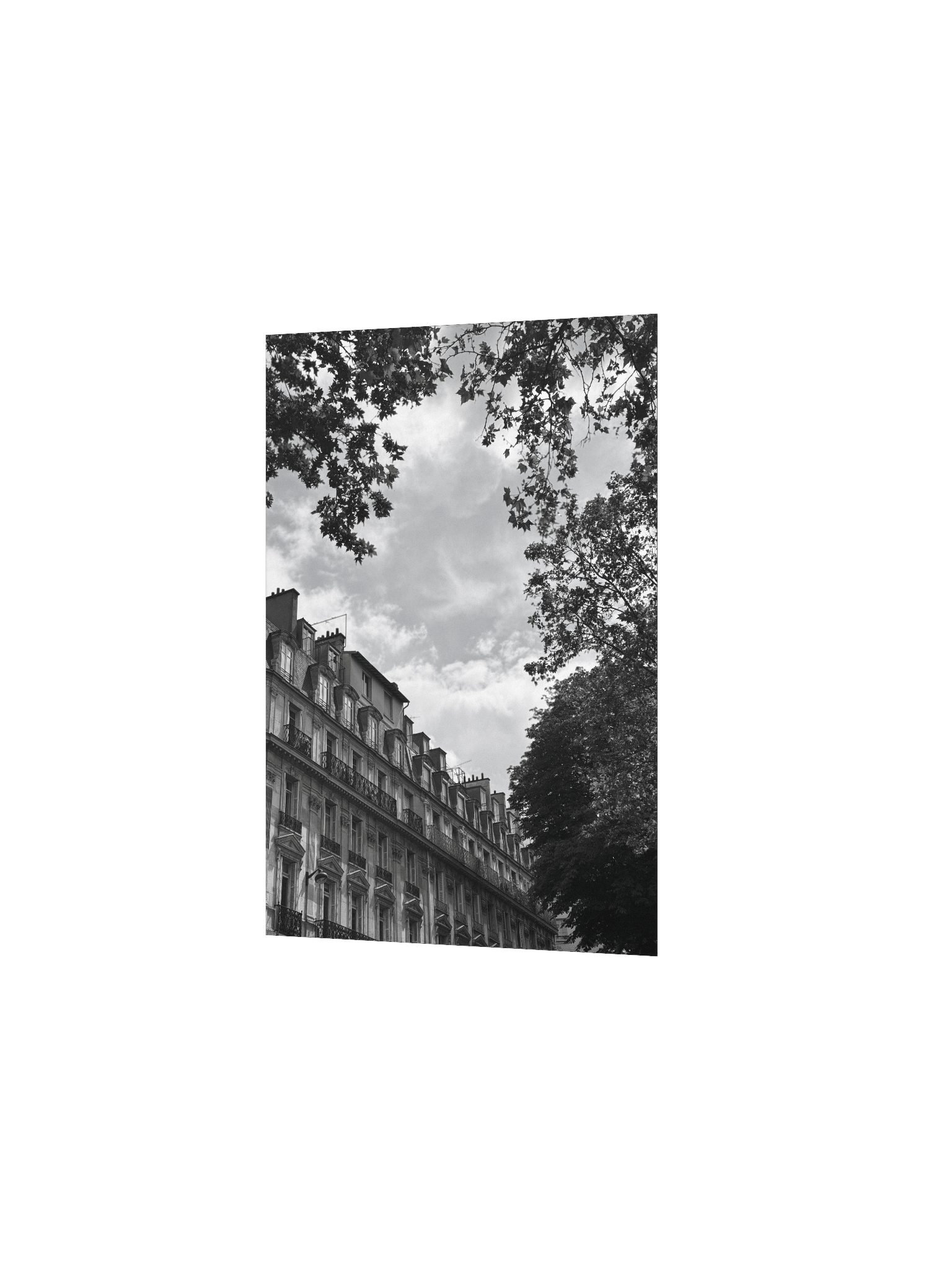 Toits ciel parisien dé-saturé (impression) product image (2)