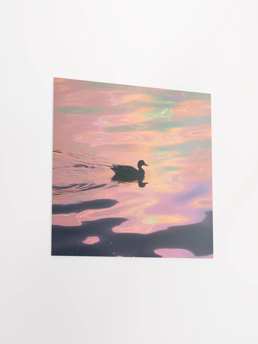 Lakeside Reflection product image (13)
