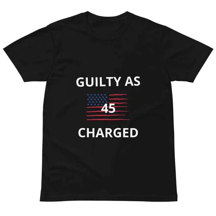 ETHANBOMB - GUILTY T-SHIRT product image (4)