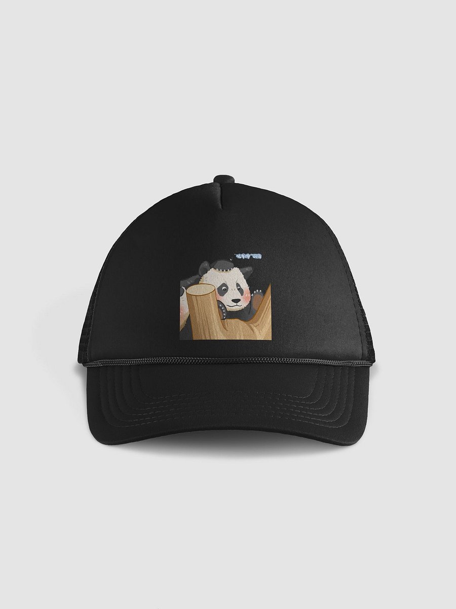 HUIBAO🐼Giant Panda product image (2)
