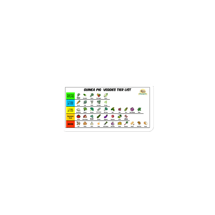 Guinea Pig Veggies Tier List – Fridge Magnet product image (1)