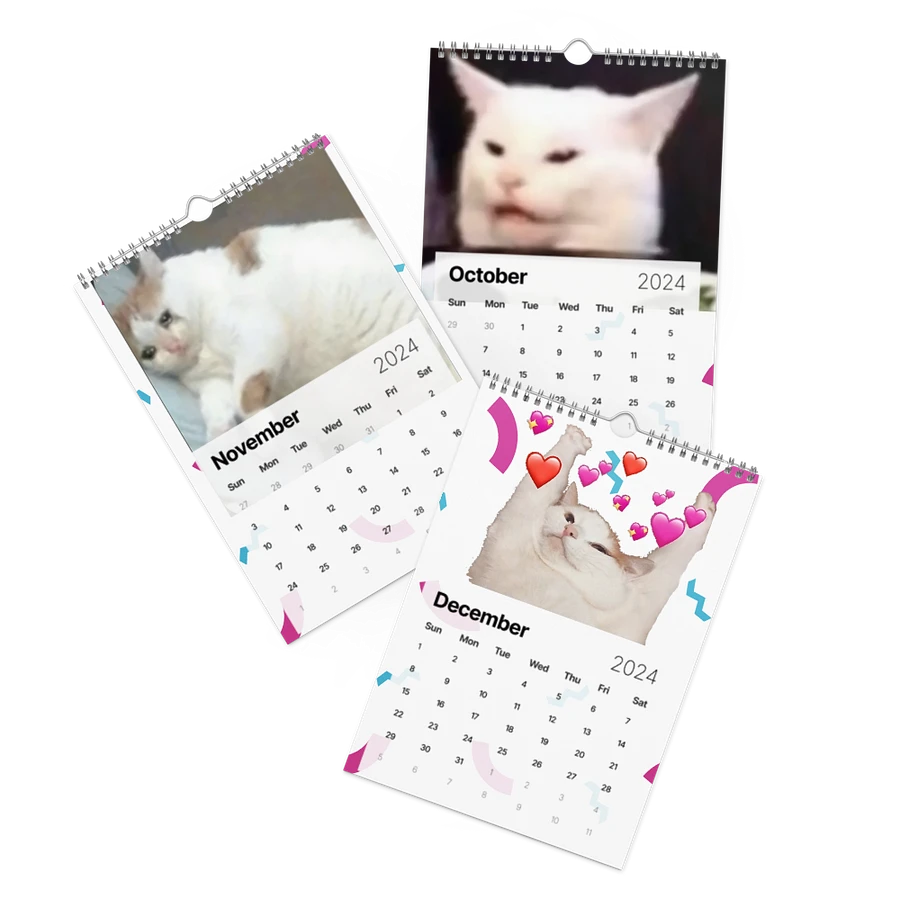 Wall Calendar (2024): Meme Cats product image (17)