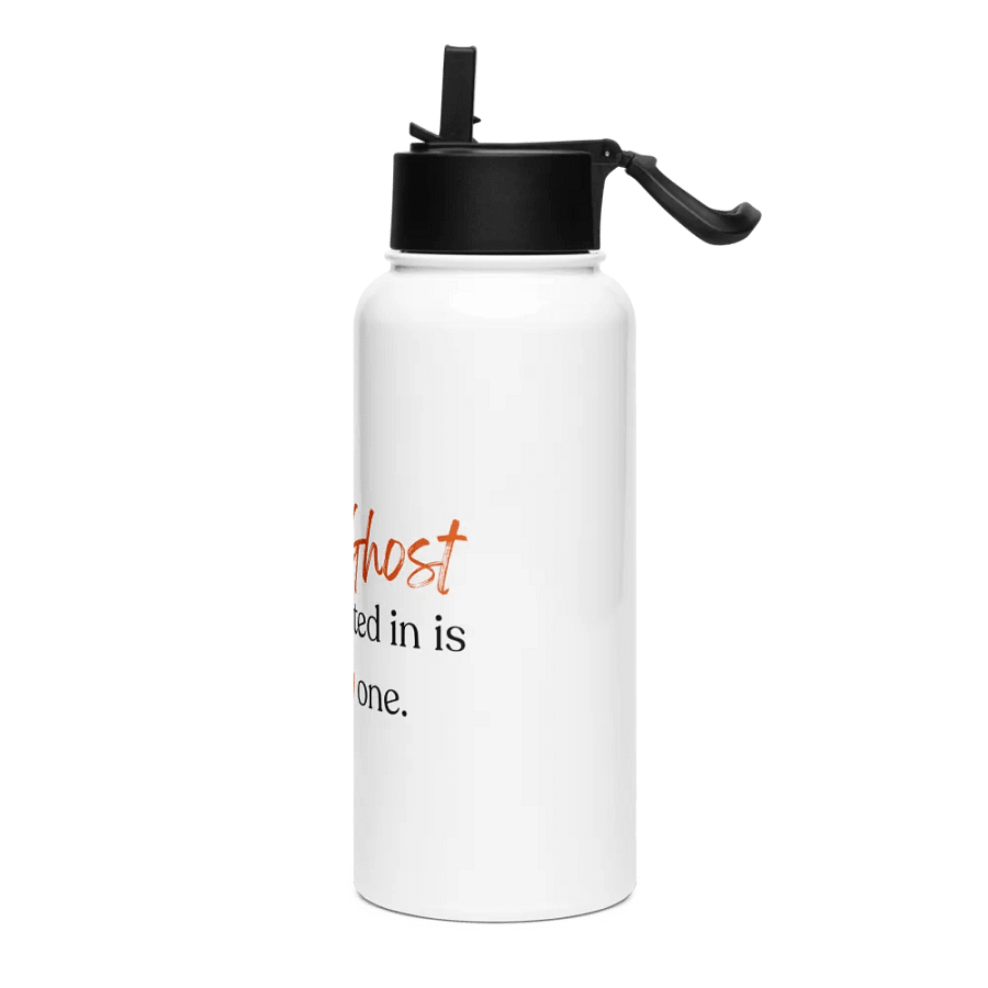 The Holy Ghost Stainless Steel Water Bottle with Straw | Stainless Steel Sipper and Water Bottle | Not Halloween Collection product image (3)