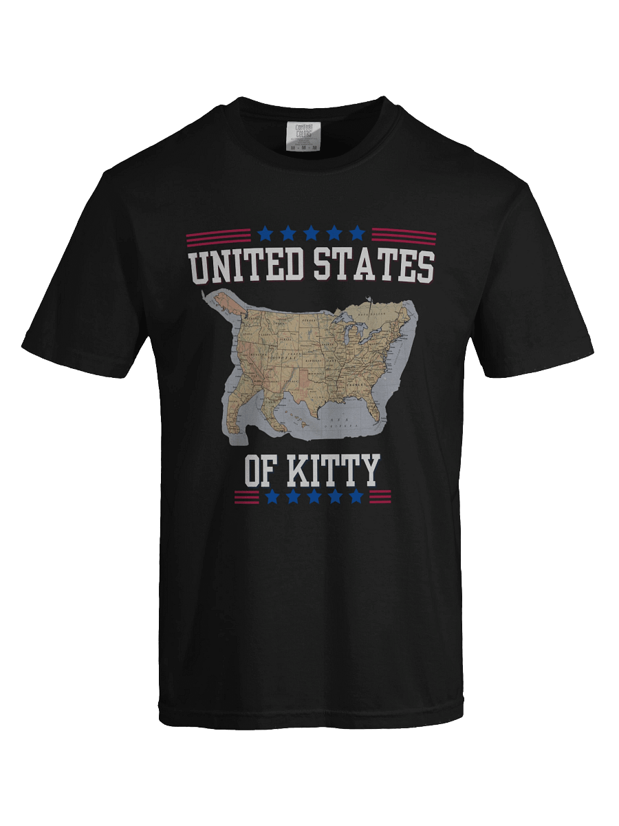 United States of Kitty Tee product image (25)