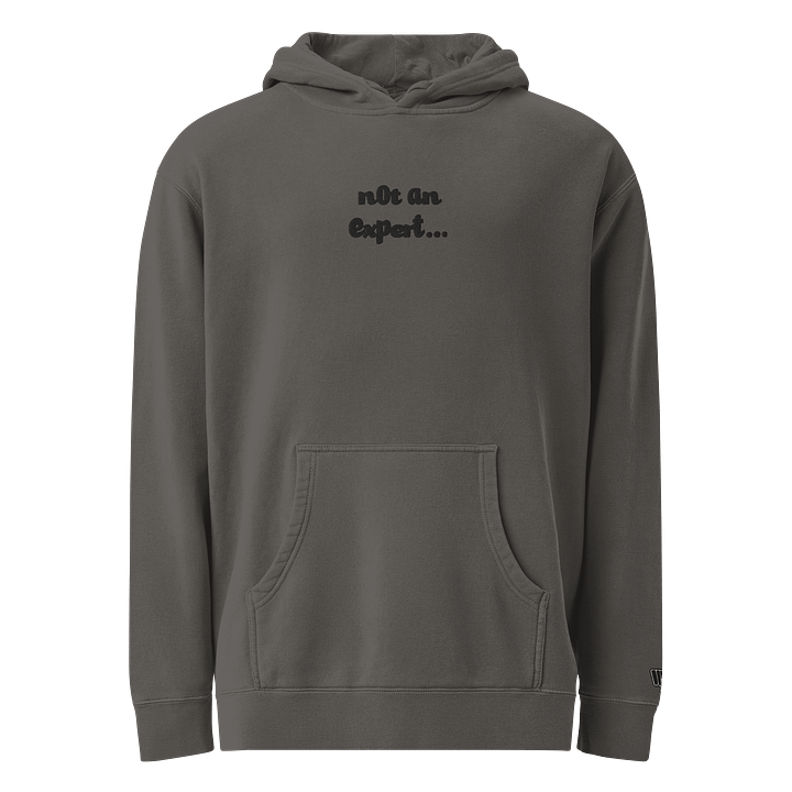 Stealth "not an expert..." Official Heavy Weight Hoodie product image (8)