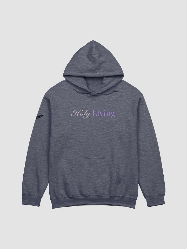 Holy Living Hoodie product image (1)
