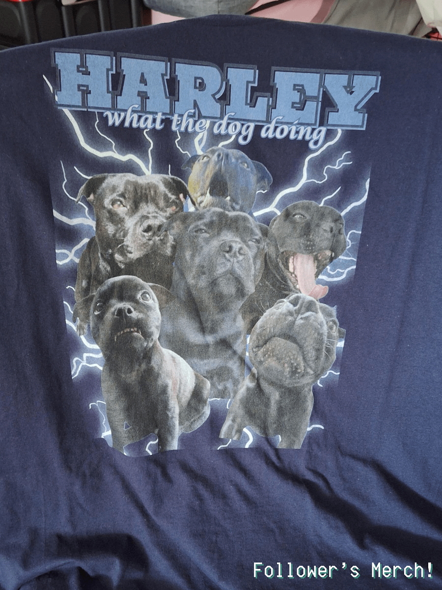 What The Dog Doing? product image (3)