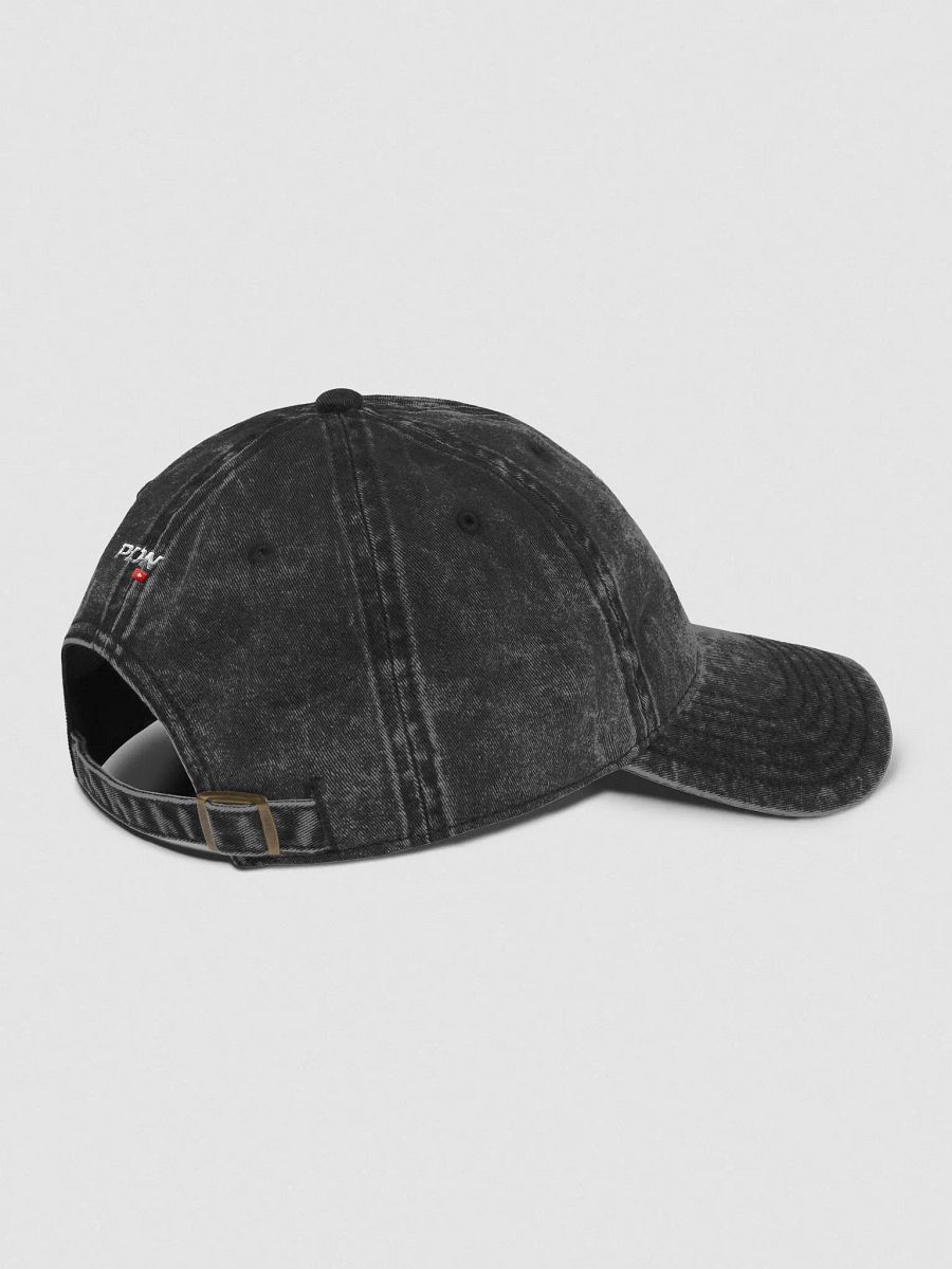 Vintage Wash Railbird Dad Hat product image (4)