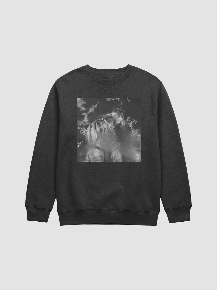 You Choose Long Sleeve product image (1)
